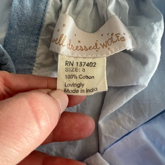 Well Dressed Wolf Blue Kite 🪁 Set - Picture 4 of 4